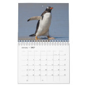 Calendrier des pingouins (Jan 2027)