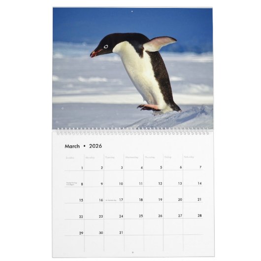 Calendrier des pingouins (Mar 2026)