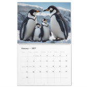 Calendrier des pingouins (Feb 2027)