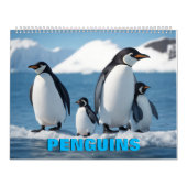 Calendrier des pingouins (Protection)