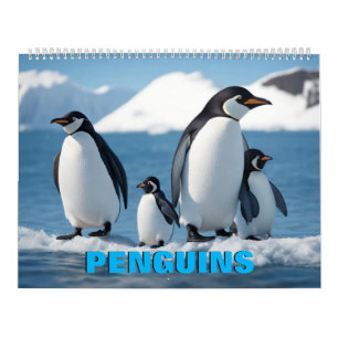 Calendrier des pingouins