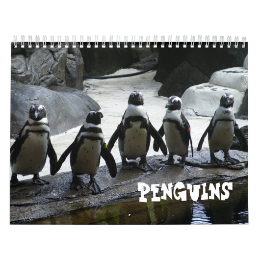 Calendrier des pingouins (Protection)