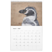Calendrier des pingouins de 15 mois avec descripti (Mar 2027)