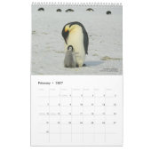 Calendrier des pingouins de 15 mois avec descripti (Feb 2027)
