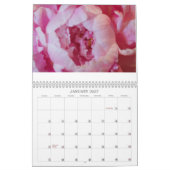Calendrier des pivoines (Jan 2027)
