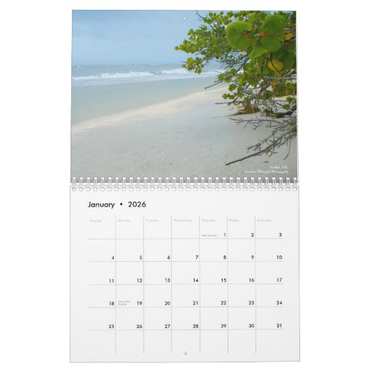Calendrier des plages (Jan 2026)