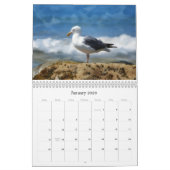 Calendrier des plages et des océans (Jan 2026)