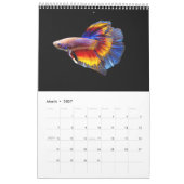 Calendrier des poissons bêta (Mar 2027)