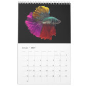Calendrier des poissons bêta (Jan 2027)