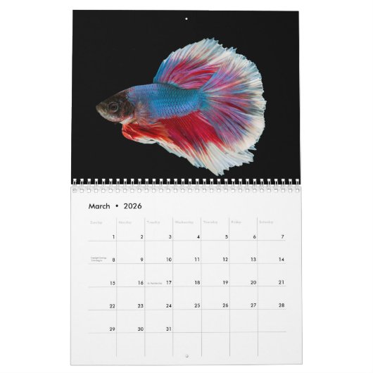 Calendrier des poissons bêta (Mar 2026)