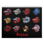 Calendrier des poissons bêta (Protection)