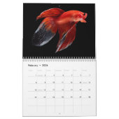 Calendrier des poissons bêta (Feb 2026)
