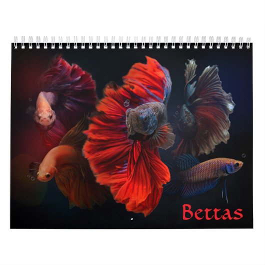 Calendrier des poissons bêta (Protection)