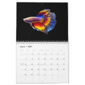 Calendrier des poissons bêta (Mar 2027)