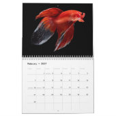 Calendrier des poissons bêta (Feb 2027)