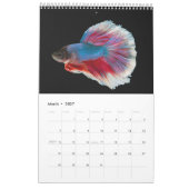 Calendrier des poissons bêta (Mar 2027)