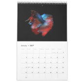 Calendrier des poissons bêta (Jan 2027)