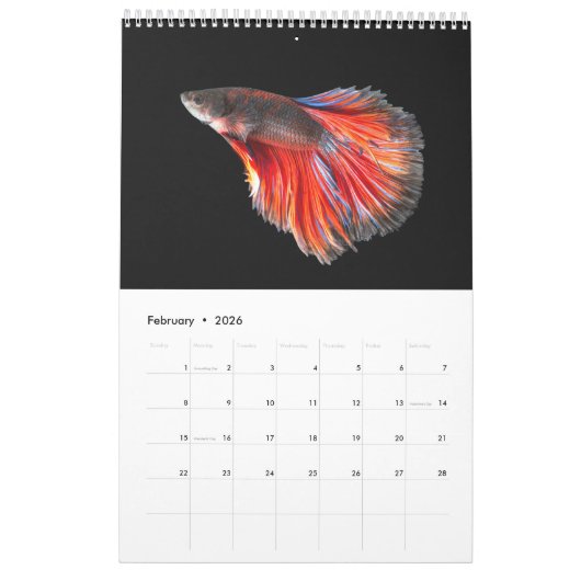 Calendrier des poissons bêta (Feb 2026)