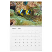 Calendrier des poissons clowns - Poisson anémone (Jan 2026)