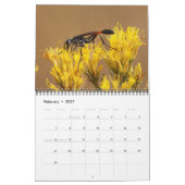 Calendrier des pollinisateurs 2027 (Feb 2027)