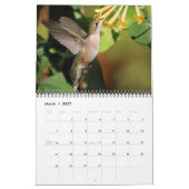Calendrier des pollinisateurs 2027 (Mar 2027)