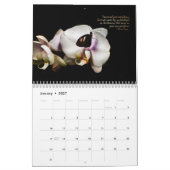 Calendrier des pollueurs (Jan 2027)