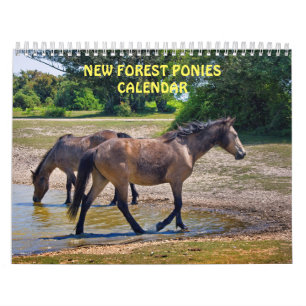 Calendrier des poneys de New Forest