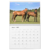 Calendrier des poneys de New Forest (Mar 2027)
