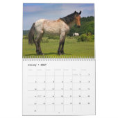Calendrier des poneys de New Forest (Jan 2027)