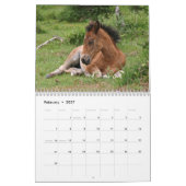 Calendrier des poneys de New Forest (Feb 2027)