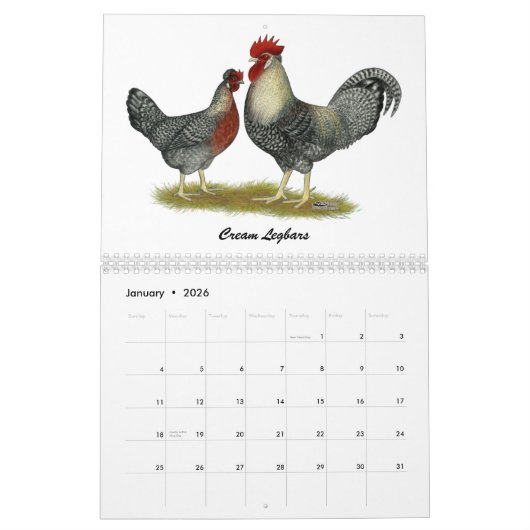 Calendrier des poulets 2026 (Jan 2026)
