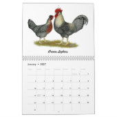 Calendrier des poulets 2026 (Jan 2027)