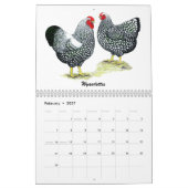 Calendrier des poulets 2026 (Feb 2027)