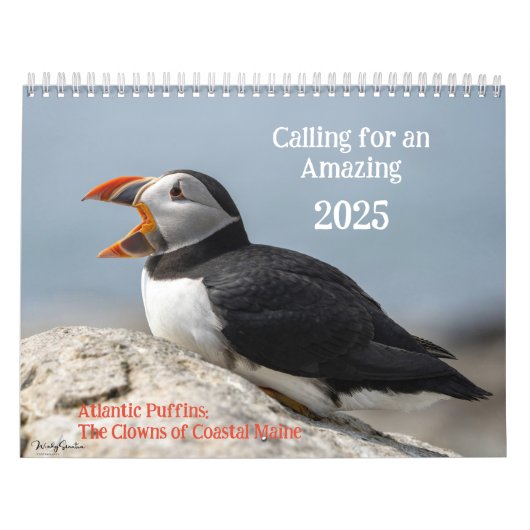 Calendrier des Puffins de l'Atlantique 2025 (Protection)