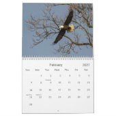 Calendrier des pygargues (Feb 2027)
