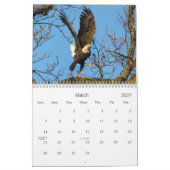 Calendrier des pygargues (Mar 2027)