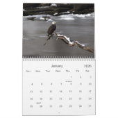 Calendrier des pygargues (Jan 2026)