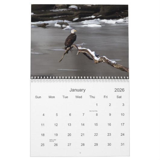 Calendrier des pygargues (Jan 2026)