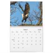 Calendrier des pygargues (Mar 2026)