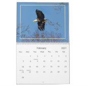 Calendrier des pygargues à tête blanche de la vall (Feb 2027)