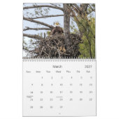 Calendrier des pygargues à tête blanche de la vall (Mar 2027)