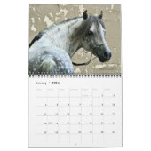 Calendrier des races de chevaux en voie de dispari (Jan 2026)