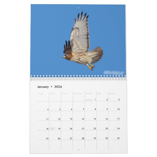 Calendrier des rapaces (Jan 2026)
