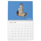 Calendrier des rapaces (Jan 2027)