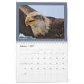 Calendrier des rapaces (Feb 2027)