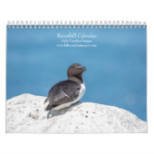 Calendrier des Razorbill 2026 (Protection)