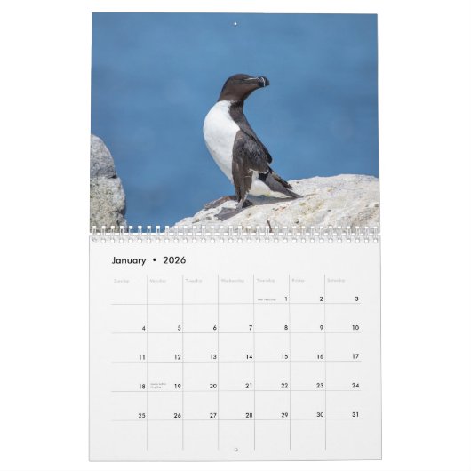 Calendrier des Razorbill 2026 (Jan 2026)