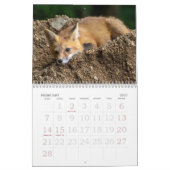 Calendrier des renards amusants (Feb 2027)