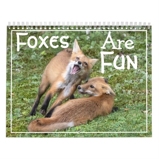 Calendrier des renards amusants (Protection)