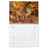 Calendrier des renards d'automne (Mar 2027)